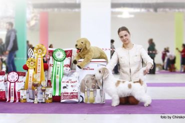 Legacy wins Best In Show #10 and Mirinda Junior Best In Show !