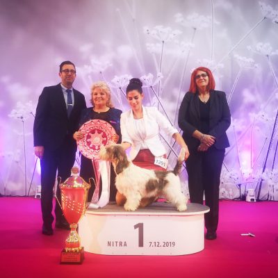 2nd All Breed BIS