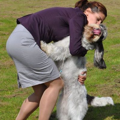 Farandole after winning BIS @basset club show in Sweden